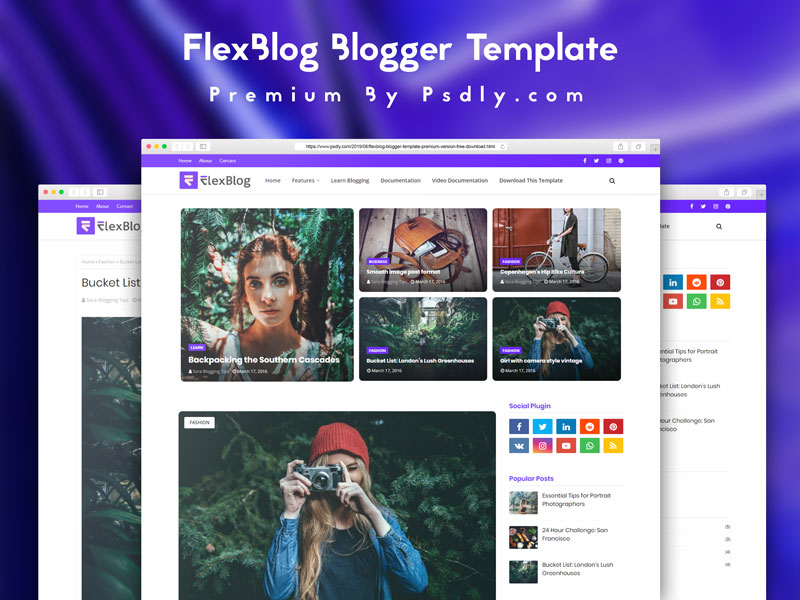 FlexBlog Blogger Template Premium Version Free Download