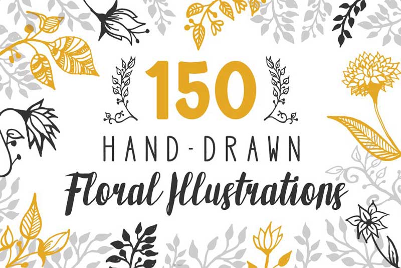 150 Hand Drawn Floral Illustrations