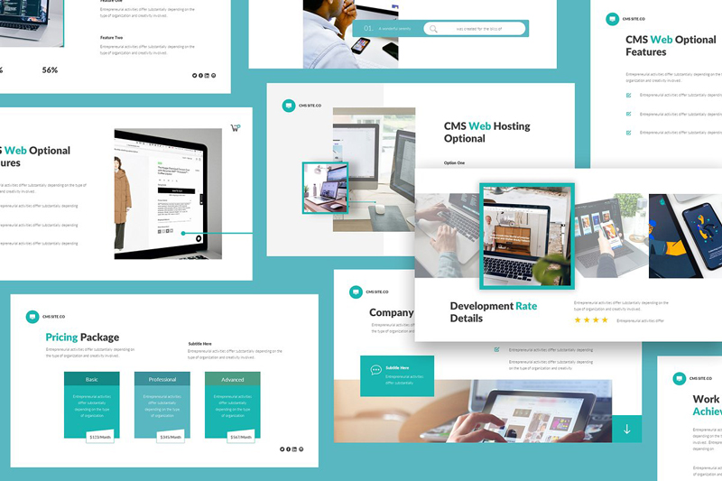 cms-website-proposal-Slides cms-website-proposal-Slides