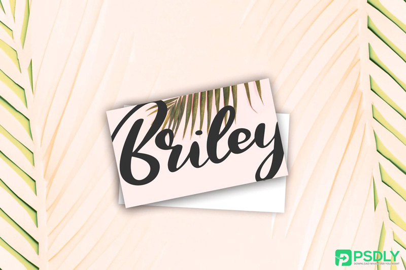 Qors-Minimalism-Script-Font Qors-Minimalism-Script-Font