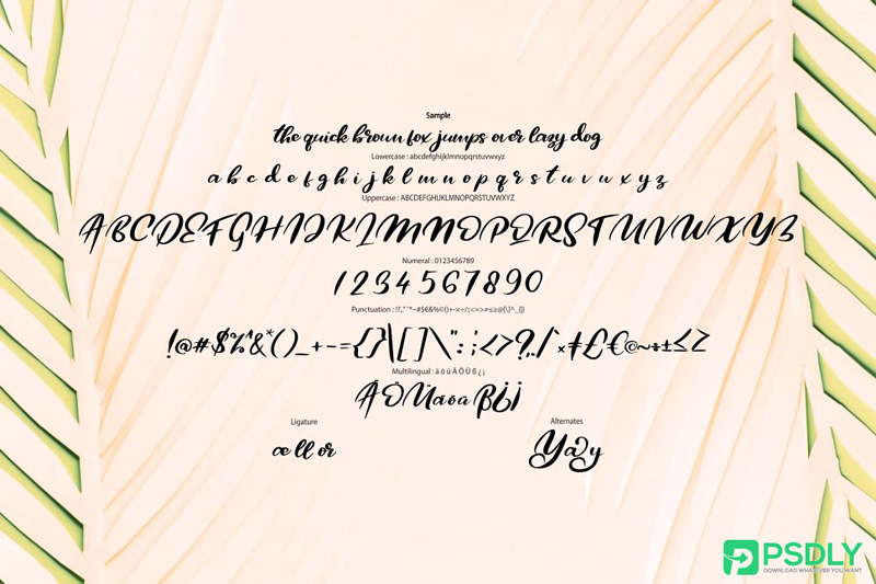 Qors-Minimalism-Script-Font Qors-Minimalism-Script-Font