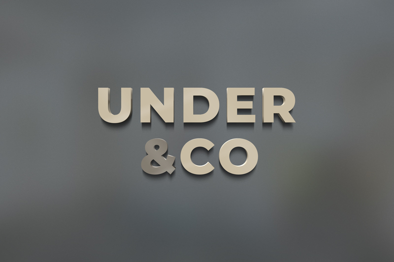 3D logo mockup by psdly