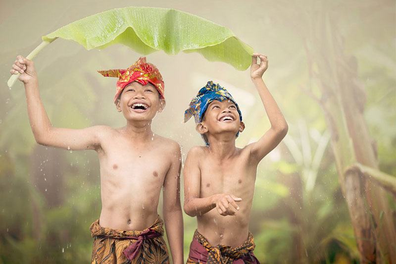 Rain Forest Desktop Presets 4594872 5 Rain Forest Desktop Presets 4594872 3
