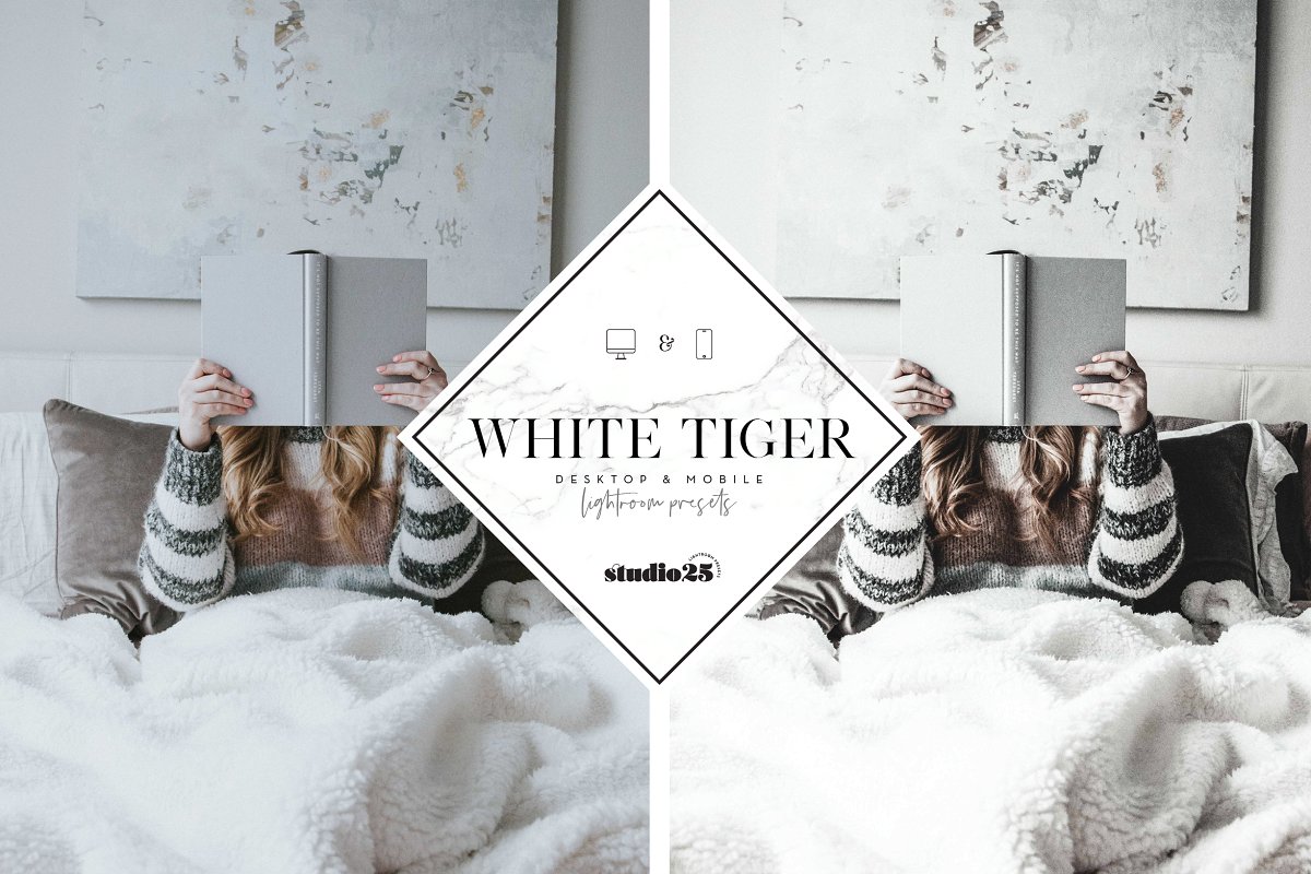 5 Lightroom presets bundle Free 5 bundle crm5