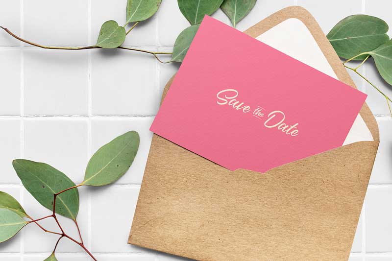 Casira Script Font 3 Casira Script 2