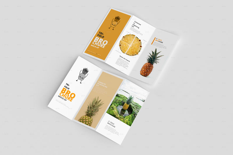 3-Fold (Tri-Fold) Brochure Mockups 26039647 3-Fold (Tri-Fold) Brochure Mockups 26039647