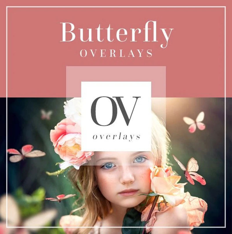 Bellevue - Butterfly Overlays Bellevue - Butterfly Overlays