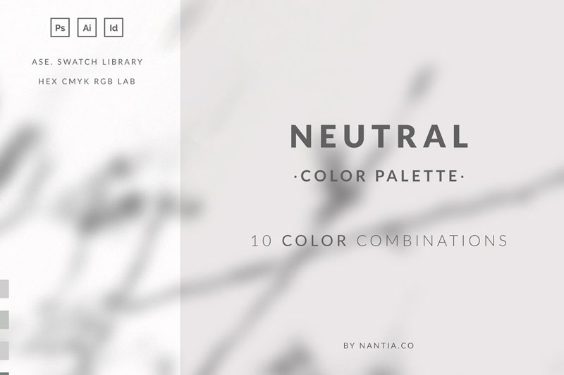 Neutral Color Palette collection 3673540
