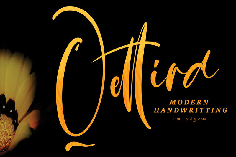Qettira Font 4683791