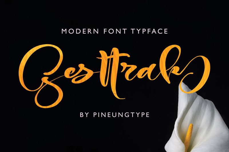 Gesttrak Stunning Script Fonts