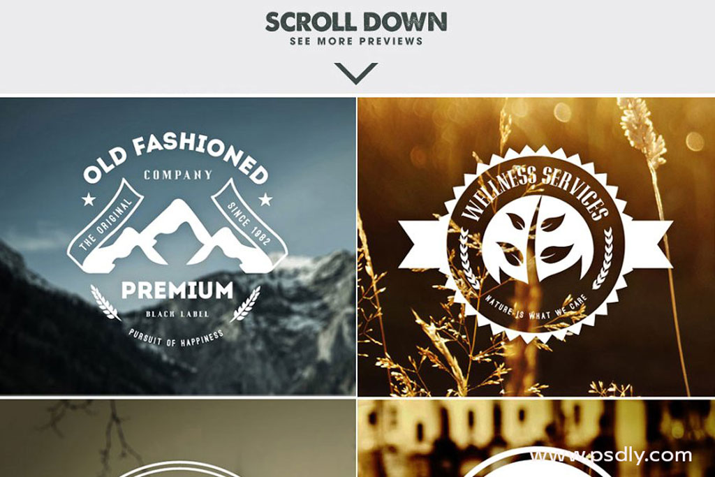 MEGA Bundle 326 Vintage Logos Badges 2 MEGA Bundle 326 Vintage Logos Badges 1