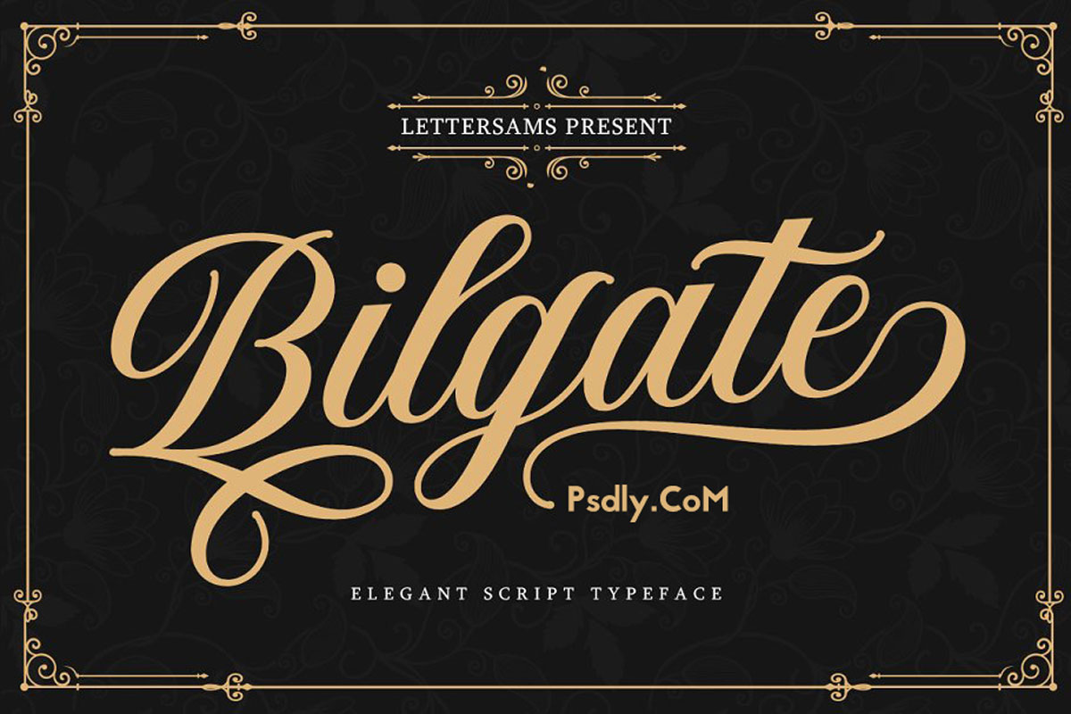 Bilgate Script Stunning Display Fonts