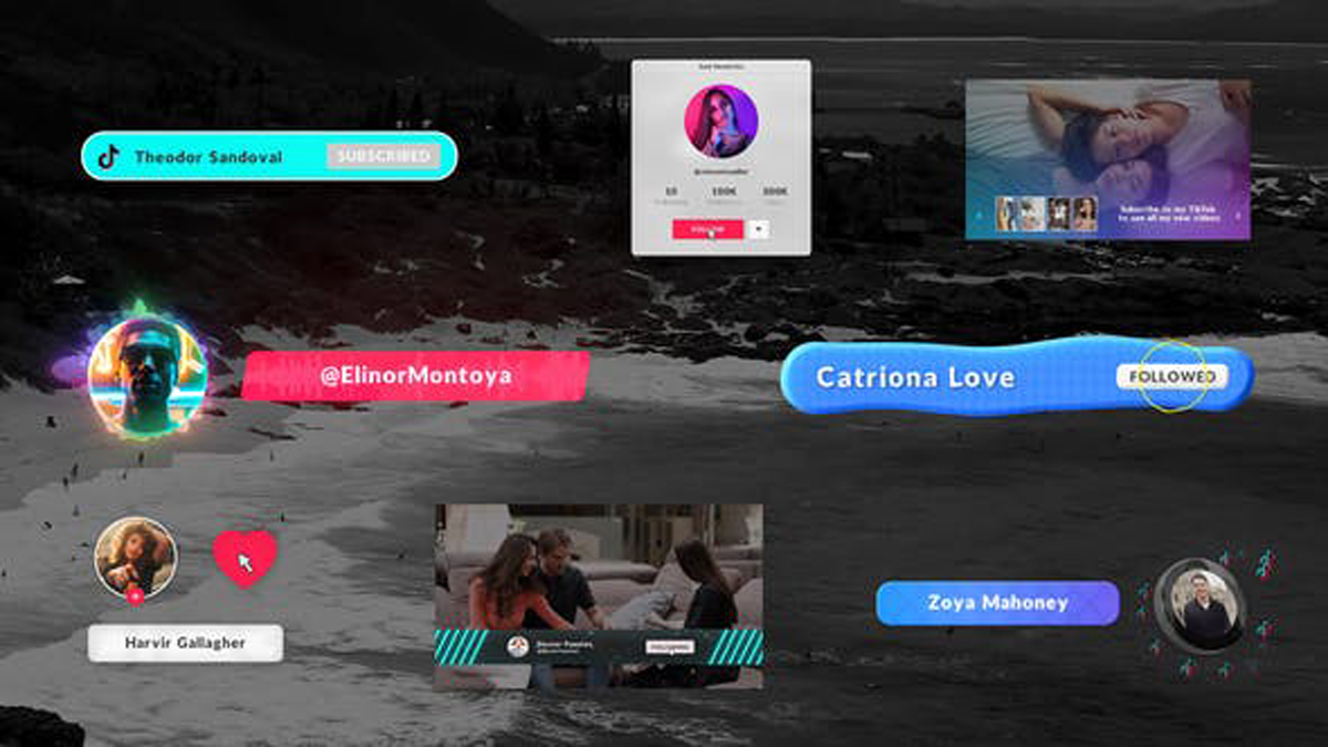 Videohive Tik Tok Subscribe Elements 28114891