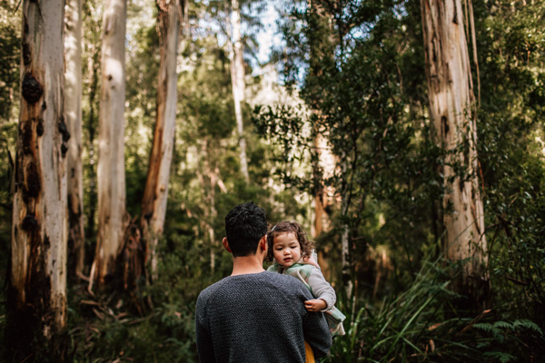 Forest & Field Preset Collection - Desktop & Mobile 3 Forest Field Preset Collection Desktop Mobile Free