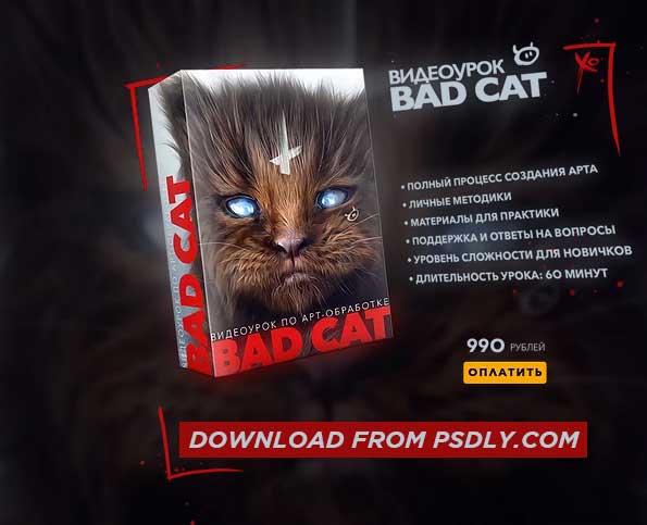 Max Twain Bad Cat Editing Video 2 Max Twain Bad Cat Editing Video