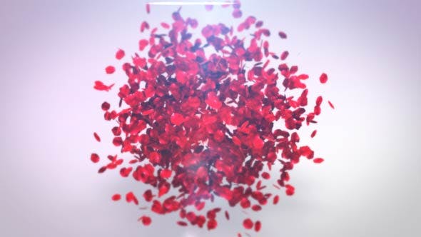 Videohive Playing Petals Logo Reveal 17466835