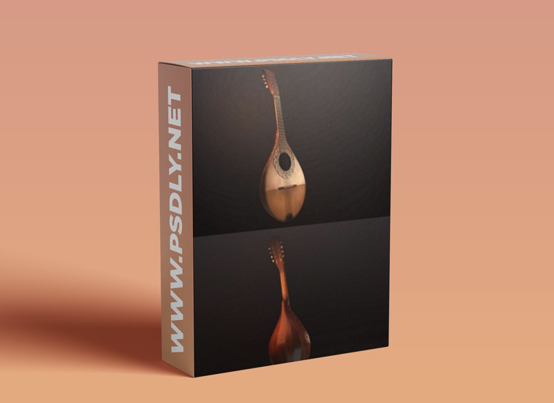 Bowlback Mandolin