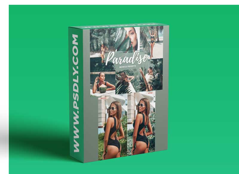 CreativeMarket - PARADISE Mobile Lightroom Presets 5712593