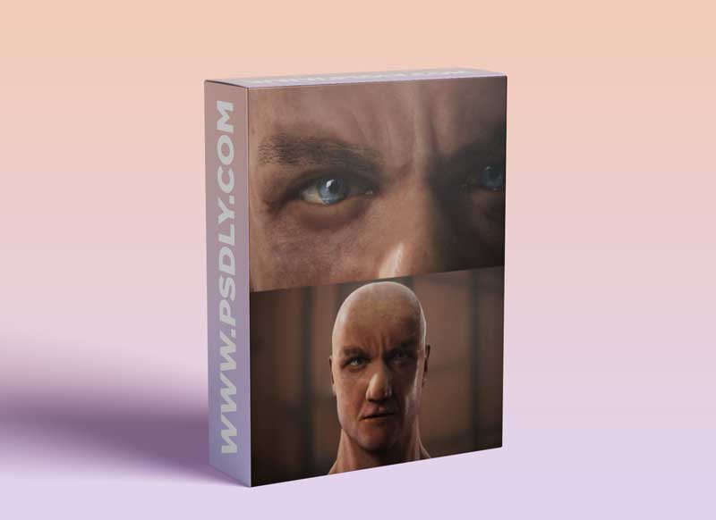 Head Portrait