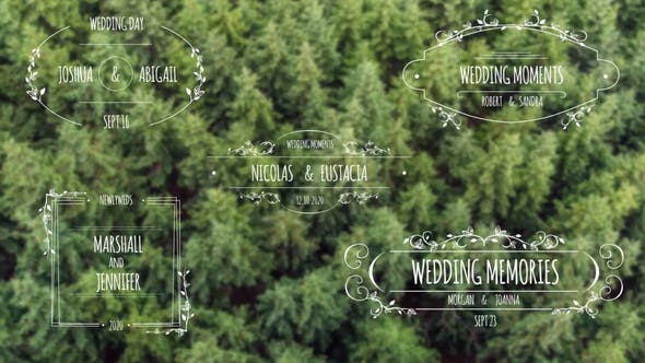 Videohive Lovely Titles V2 29681692