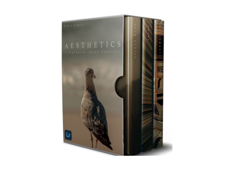 Aesthetics Color Profiles / Volume 1 - Drake Vincent