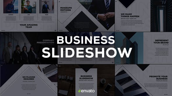 Videohive Business Slides 23431687