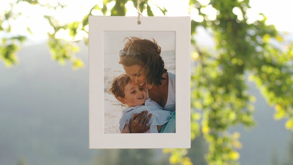 Videohive Family Tree Photo Gallery 4K 22613411