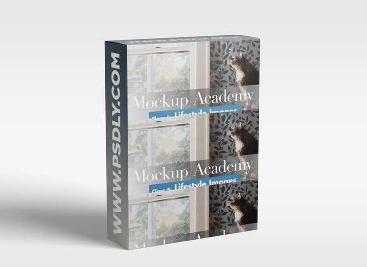 Wallpaper & Framed Art Lifestyle Mockups: Mockup Academy 5