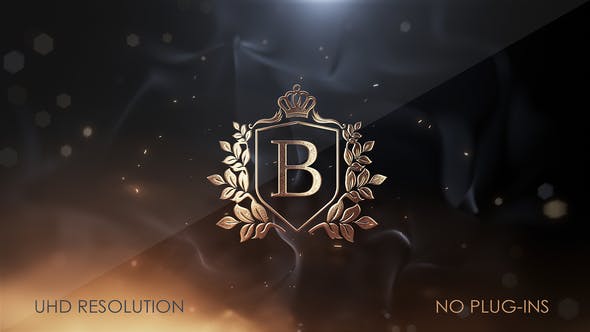 Videohive Luxury Logo 31348516