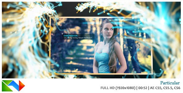 Videohive Particular 4071840