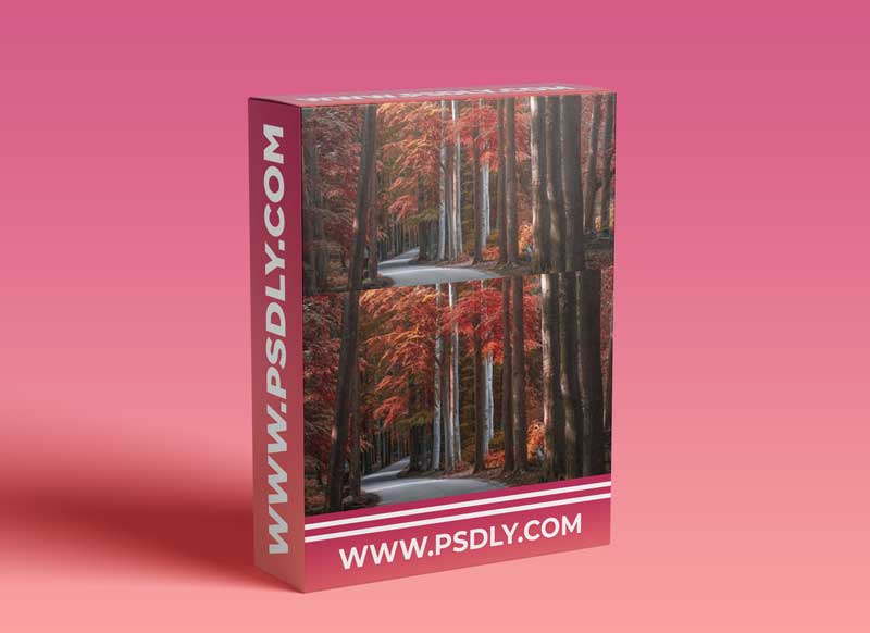 Adrian Sommeling - Turn a Summer Forest Into an Autumnal Scene