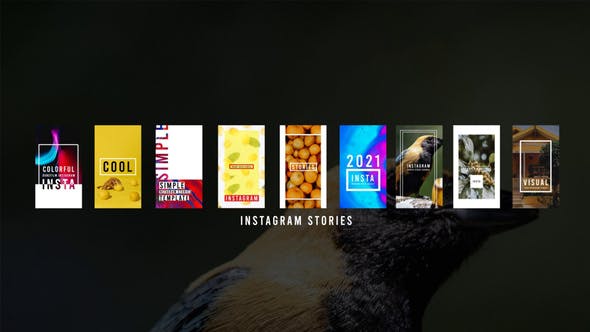 Videohive Instagram Stories 29475809