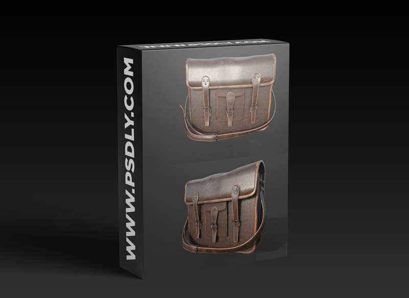 Leather Bag
