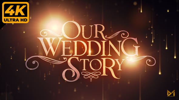 Videohive Wedding Memories 31834551