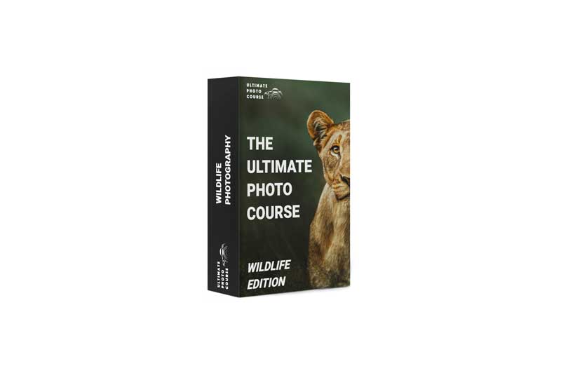 The Ultimate Wildlife Photography Bundle
