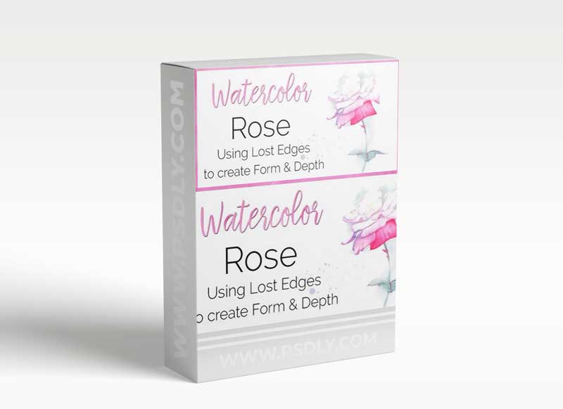 Watercolour Rose: Using lost edges to create form and depth.