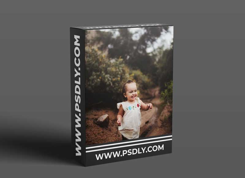 Twig & Olive Photography - Family - Reading Children | Short