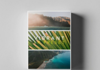 Tropic Color - LR PRESETS - VIBRANT
