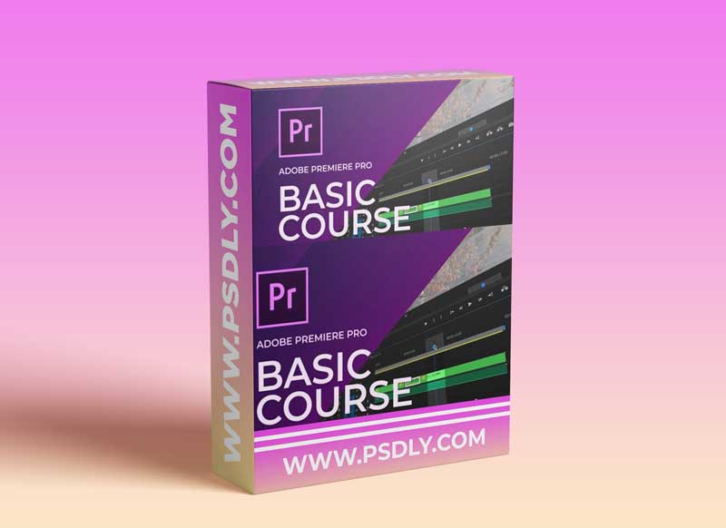 AEJuice - Basic Premiere Pro Course