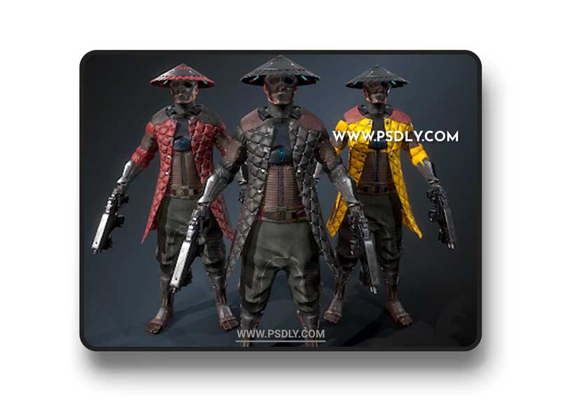Cyber samurai 2