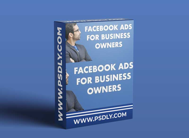 Facebook Ads For Online Business Owners (Hands On Training)
