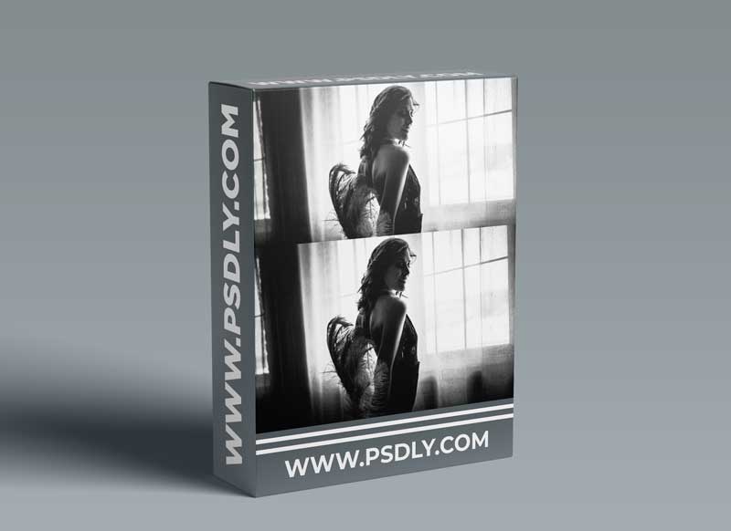 PSDLY-MOCKUP-BY-DR-LIGHT-Recovered.jpg
