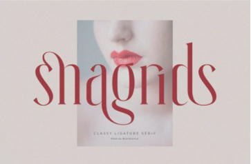 Snagrids Font