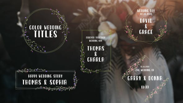 Videohive Color Wedding Titles 33791614