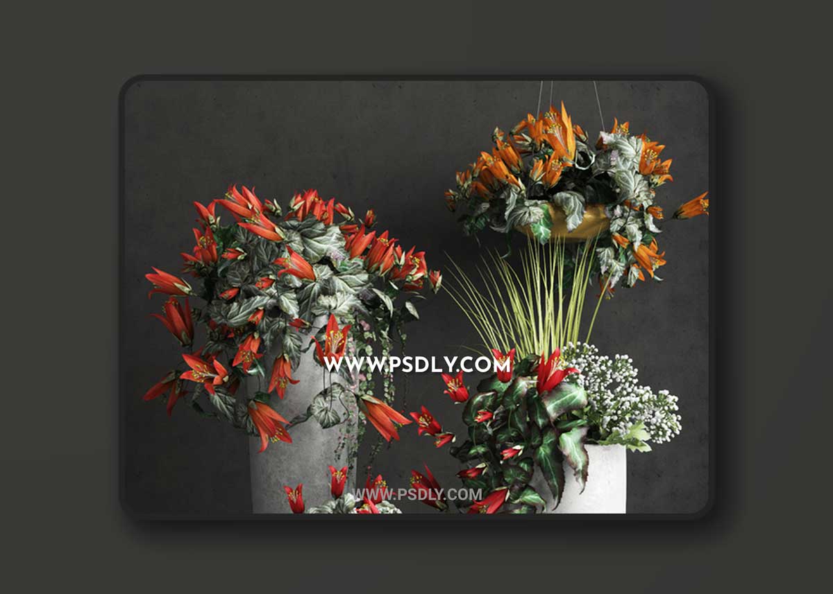Confetti 3D Model