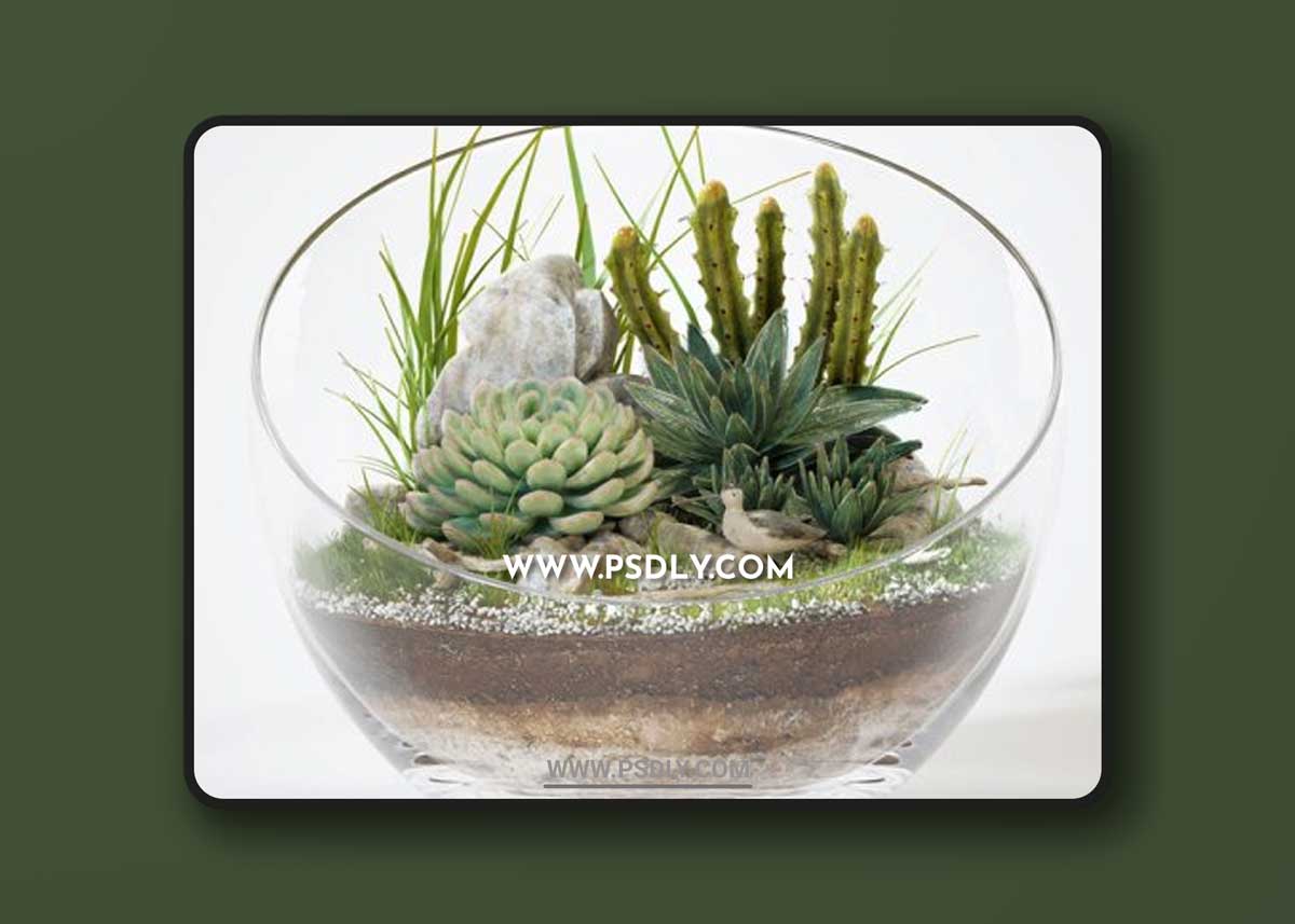 Florarium 3D Models