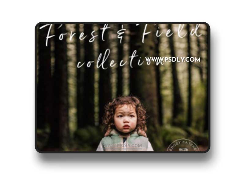 Forest & Field Preset Collection - Desktop & Mobile