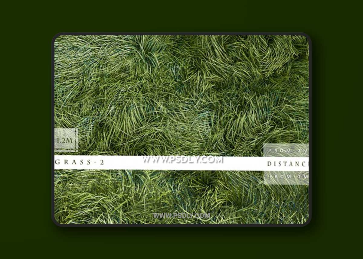 GRASS 2 3D Model