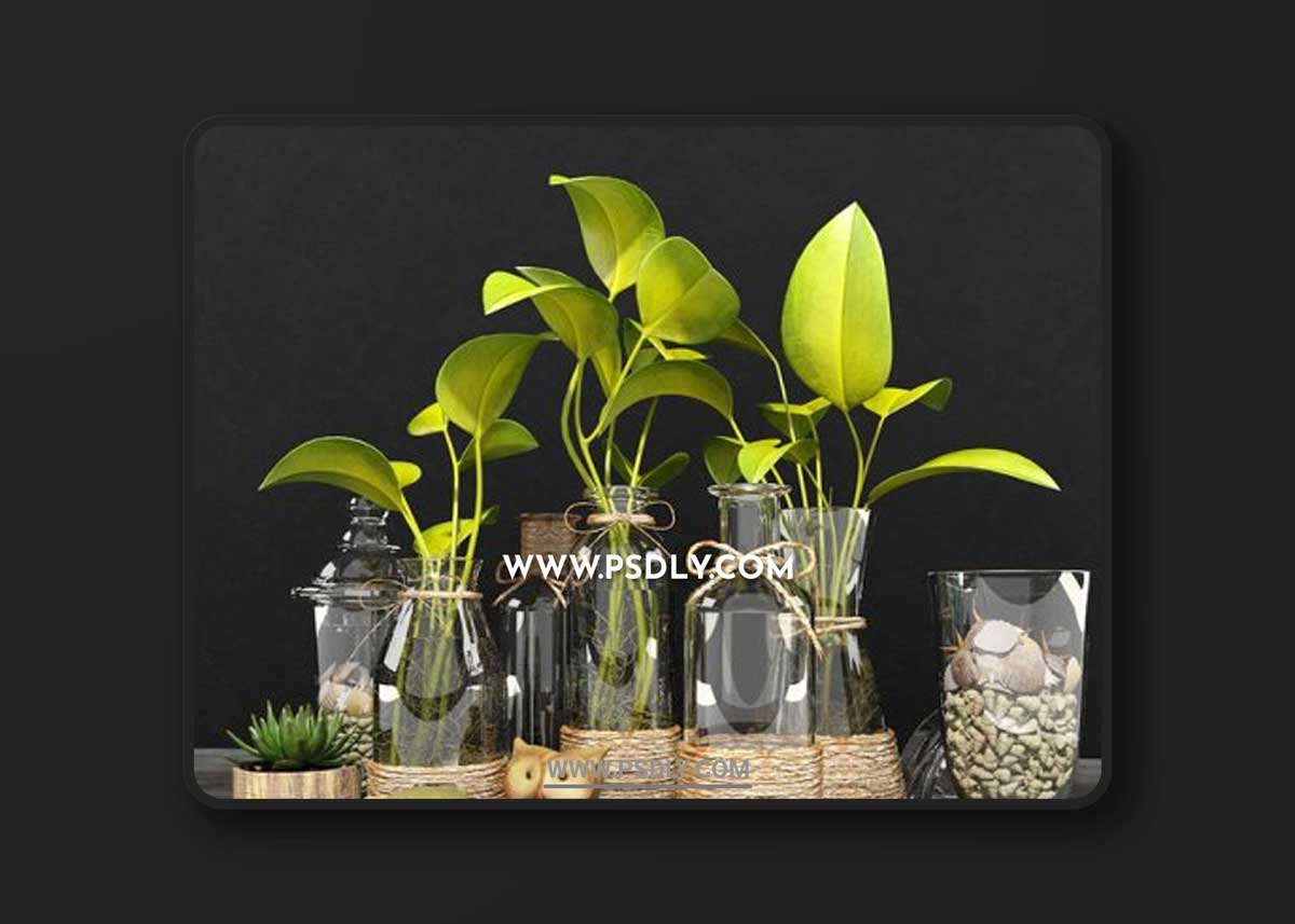 Green set 3D Model