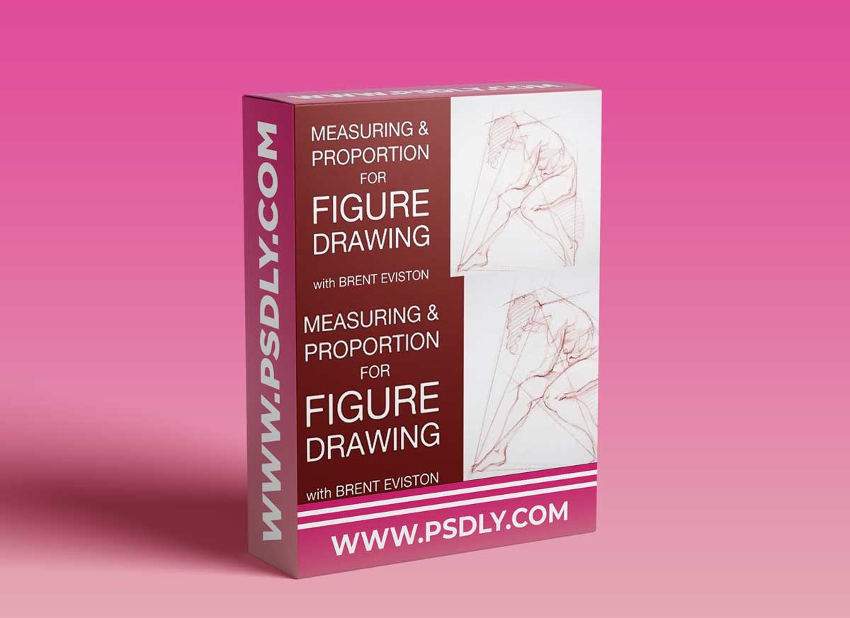 Measuring & Proportion for Figure Drawing